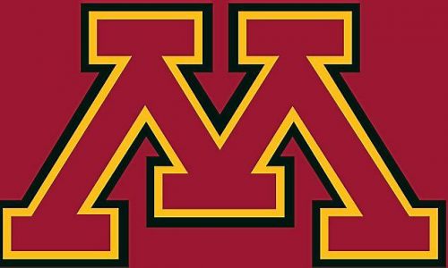 Women’s basketball: Gophers fall to Wisconsin in Madison