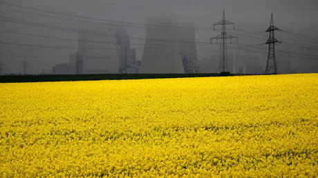 Germany’s economic downturn sees carbon emissions drop to 70-year low – report