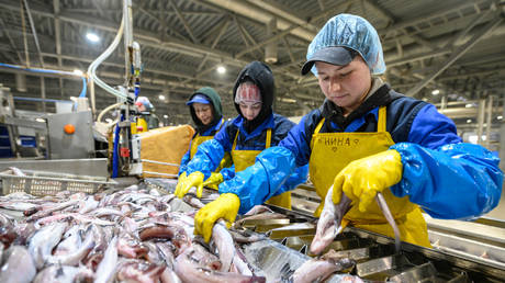 Russia’s seafood exports soaring