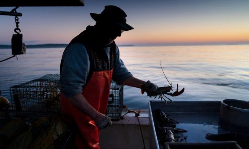 Lobstermen sue feds over boat tracking regs