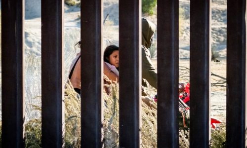 Border Wall Works, Helps Curb Illegal Immigration, Biden Appointee Testifies