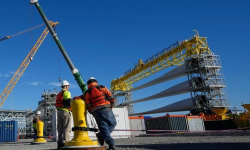 Feds set whale protection plans for wind development