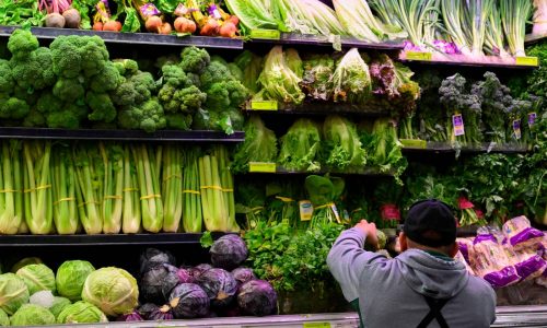 I saved $800 in 5 months by eating more plants