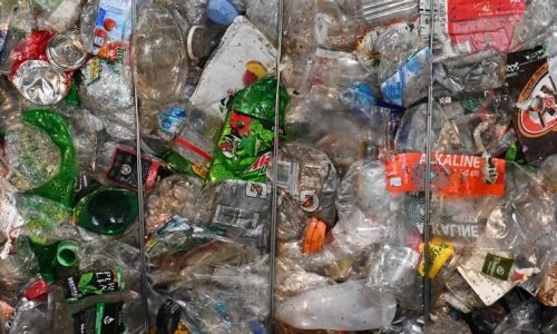 F.D. Flam: We don’t know how worried we should be about nanoplastics