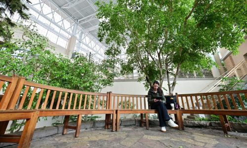 Woodbury’s Central Park is about to get a $42M makeover