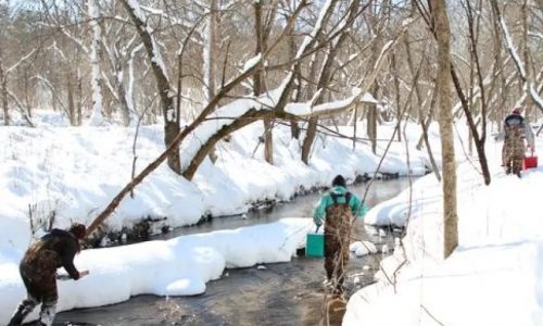 Citizen scientists needed to see what happens in trout streams in winter