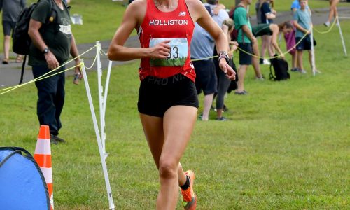 Division 4 track relays: Luisi, Holliston roll again