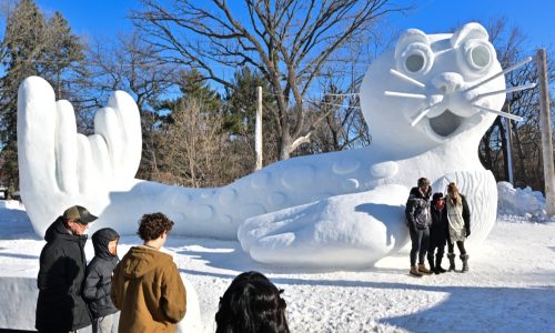 See the Bartz brothers’ newest — and biggest — snow sculpture in New Brighton