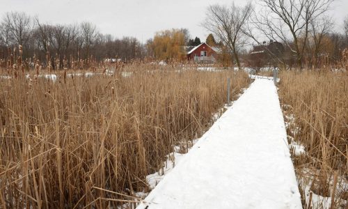 Dodge Nature Center cancels Winter Fun Fest due to lack of snow and ice