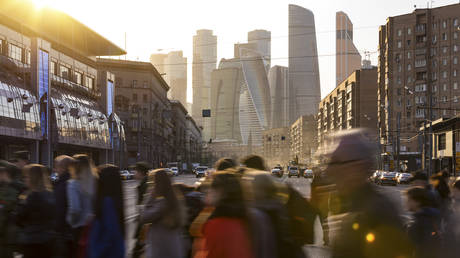 Russian economic activity at high level – Putin