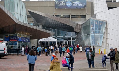 Boston museums should be open for free to all city children, councilors say