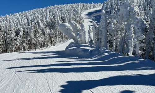 Ski Wednesday: Back in the Saddle(back)