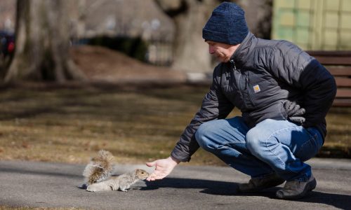 Warming trend on tap to close out February