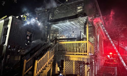 Boston Fire rescues two people, dog trapped in Roxbury house fire