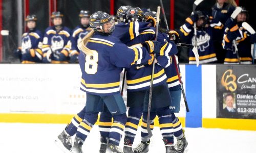 Girls hockey: Building towards February has Rosemount back at state tournament