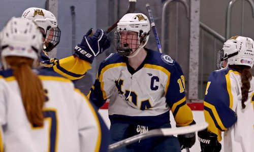 Girls hockey tournament: Favorites wary of talented challengers