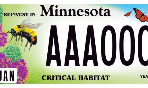 Letters: Here’s one reason for front license plates