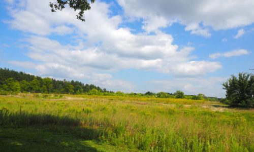 Washington County approves purchase of 11 acres for Cottage Grove Ravine Regional Park expansion