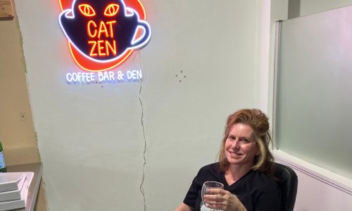 Inside Catzen Coffee Bar and Den, a new cat cafe set to open on Grand Ave this fall