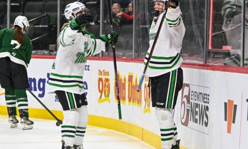 Class 2A girls hockey state quarterfinal: Hill-Murray 8, Roseau 2