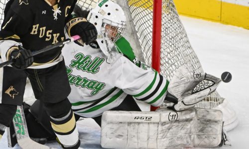 State girls hockey: Zhan leads Hill-Murray to 2A semifinal win