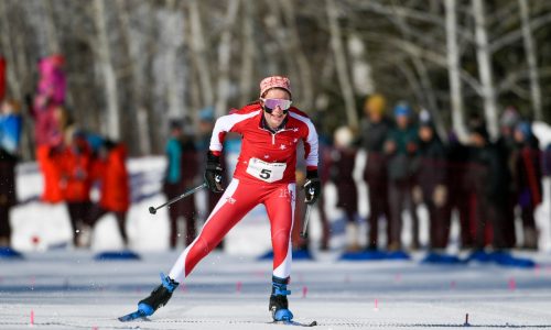 Nordic skiing state meet: East Metro teams, individuals to watch