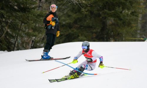 Alpine ski state meet: East Metro teams and individuals to watch