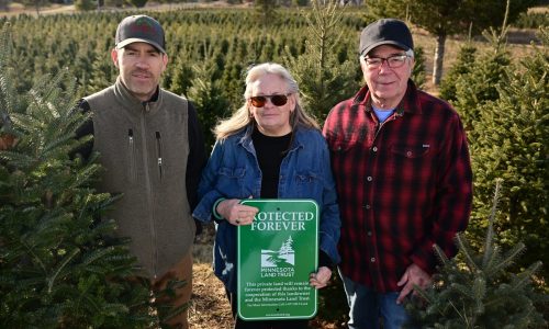 ‘Trying to do our part’: Lake Elmo tree farm puts land in permanent protection