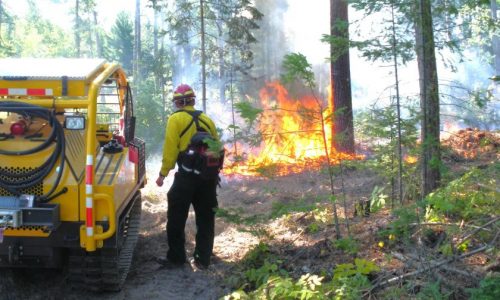 Minnesota smokechasers wanted: Only you can help fight wildfires