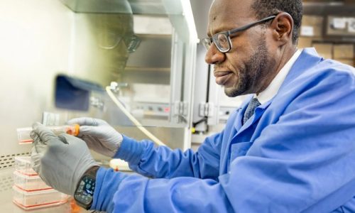 Mayo Clinic research in space could produce new insights on bone loss