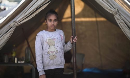 News from the WHO: Statement by Principals of the Inter-Agency Standing Committee (IASC): Civilians in Gaza in extreme peril while the world watches on https://ift.tt/tKmwSQF 

 February 21, 2024 at 06:00AM