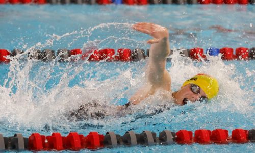 Concord-Carlisle cruises to North Sectional swimming championship