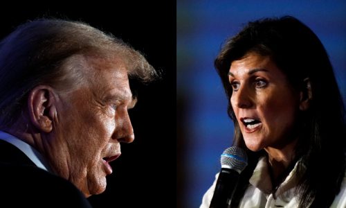 Trump will trounce Haley in home state of South Carolina, polling shows