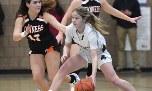 Webster leads Bishop Feehan into Div. 1 final