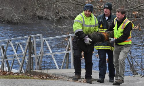 Police find no other bazookas in sweep of Charles River in Needham