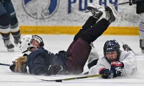 Girls hockey all-star game: North wins raucous victory