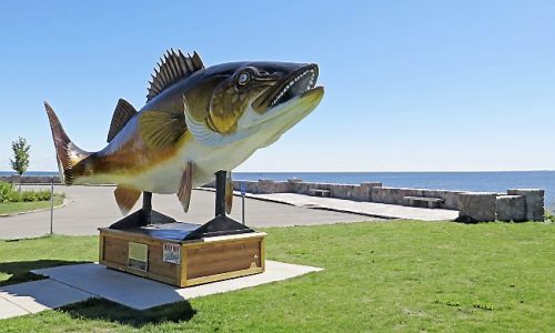 Minnesota DNR says Mille Lacs walleye fishing will be catch-and-release until mid-August