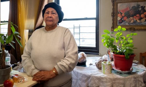As Second NYCHA ‘Trust’ Vote Gets Underway, Bronx Seniors Weigh Their Options