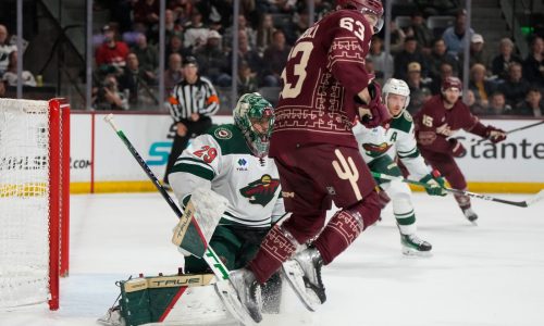 Wild remain Marc-Andre Fleury’s playoff contender