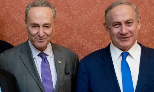 Schoen: Schumer should stay out of Israeli elections