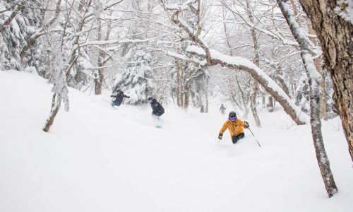 Savor the snow globe experience in the wondrous Jay Cloud