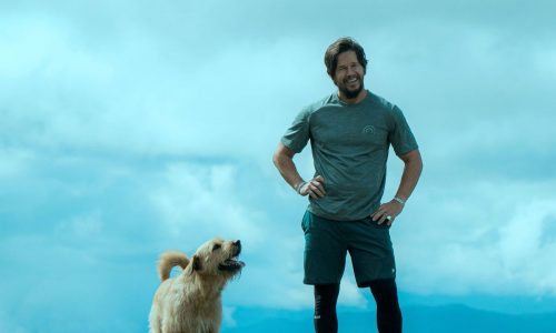 ‘Arthur the King’ wins hearts as dogged adventure tale