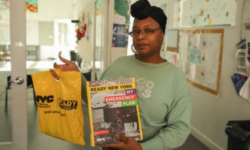 Neighborhood Groups Say They Need More City Support to Plan for Climate Emergencies