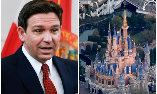 Disney Reaches Settlement With DeSantis, District Board