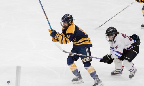 Dover-Sherborn/Weston wins first Div. 4 state boys hockey title