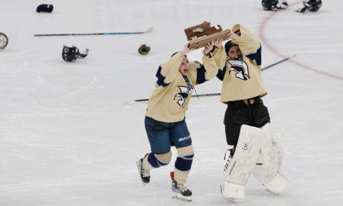 St. Mary’s outlasts Notre Dame in three overtimes to capture Div. 1 state girls hockey title