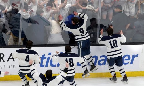 High school boys hockey: Drama, thrilling OT games, worthy champions – season had it all