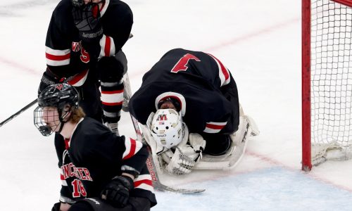 Controversial goal gives St. John’s Prep the Div. 1 state hockey title