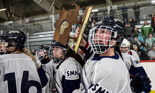 Freitas, Tringale lead St. Mary’s past defending champion Shrewsbury