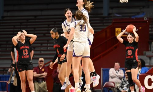 State girls basketball: Albany outlasts Minnehaha Academy, sets up rematch for Class 2A title